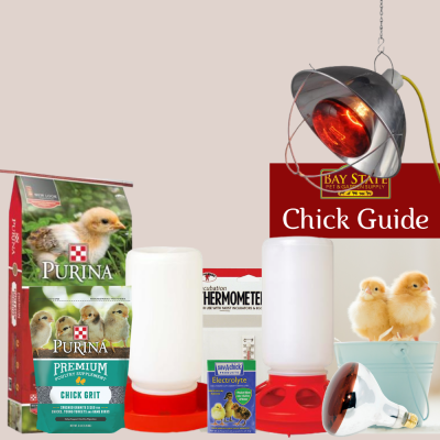 Chick Starter Kit